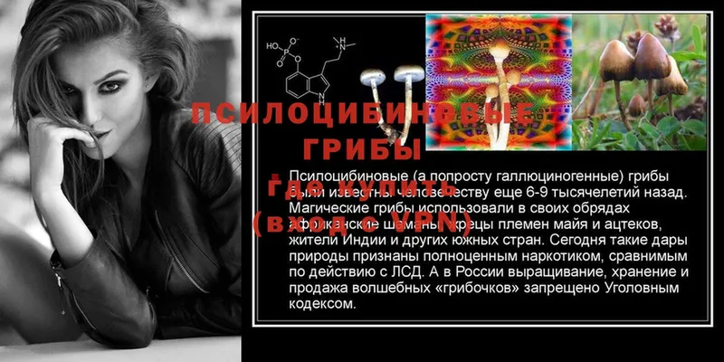 ссылка на мегу как войти  Котельниково  Галлюциногенные грибы GOLDEN TEACHER 